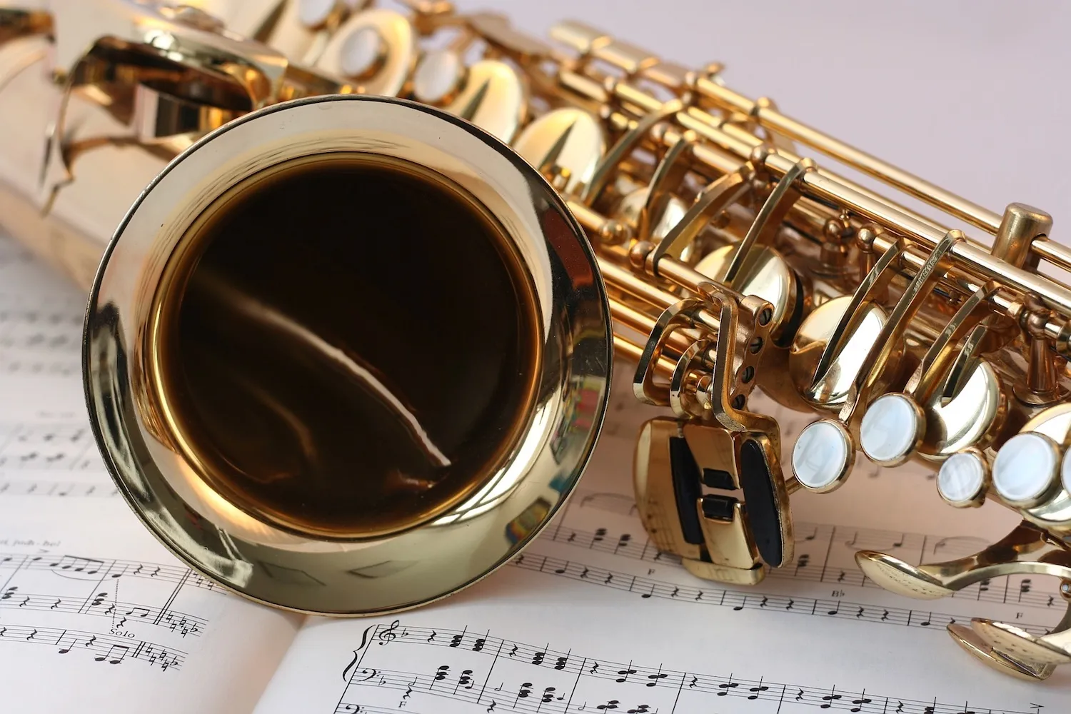 calgary musicians